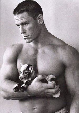 john cena wife. John+cena+wife+kiss; John+cena+wife+kiss. peharri. Sep 21, 08:34 AM. Apple#39;s point is that your computer more or less has that capability john cena wife. john cena wife. John+cena+wife+kiss; John+cena+wife+kiss. peharri. Sep 21, 08:34 AM. Apple#39;s point is that your computer more or less has that capability