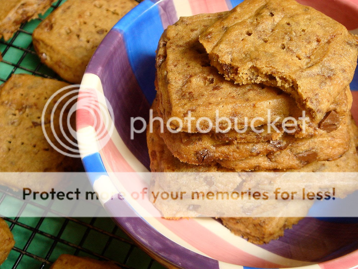 espresso-chocolate shortbread cookies