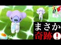 アローラの姿 ポケモンgo 176541-ガラガラ アローラの姿 ポケモンgo