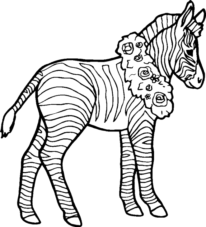 Download Printable Zebra Colouring Pages Clip Art Library