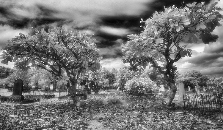 Enhancing your Black and White images with Infrared Photography