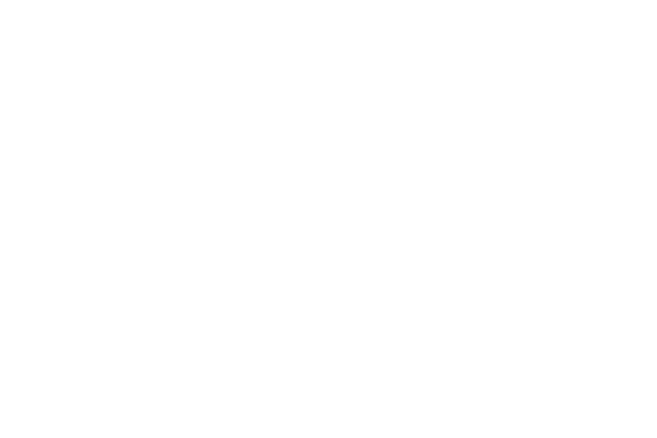 レースハート レース素材専門サイト Da Lace ダ レース
