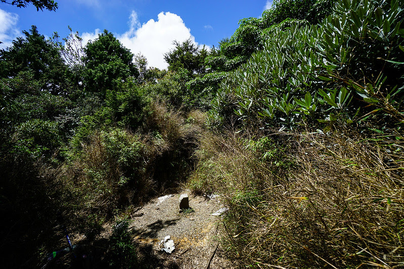 DSC06359