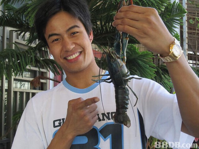 freshwater lobster farming home aquaponics