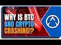 When Will The Crypto Market Crash End / This One Crypto Coin Has Defied Today's Market Crash ... / When you work those dates out, it is 504 days from may 11th, the day of the 2020 halving… that gives you the date of september 28th.