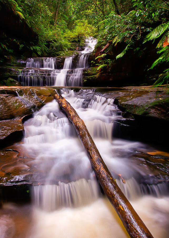 500px favs, rg443