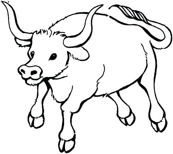 Download Ox Coloring Page at GetColorings.com | Free printable colorings pages to print and color