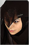 veils3