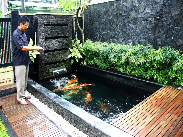 Contoh Desain  Kolam  Ikan Hias  Minimalis RUMAH IMPIAN