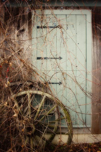 Barn Door Photograph - green wagon wheel grape vines fall autumn ...
