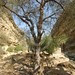 Hinglaj mata, Hingol National Park, Balochistan