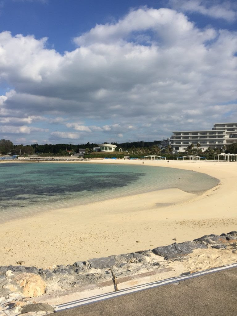 エメラルドビーチと備瀬のフクギ並木をお散歩 子供は貝殻拾いに夢中