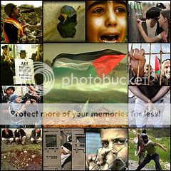 palestina Pictures, Images and Photos
