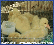 Create your own banner at mybannermaker.com!