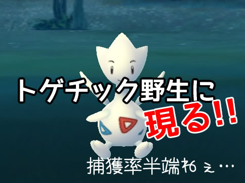 ポケモンgo 野生のトゲチックの捕獲率をナナのみを使って上げる裏技