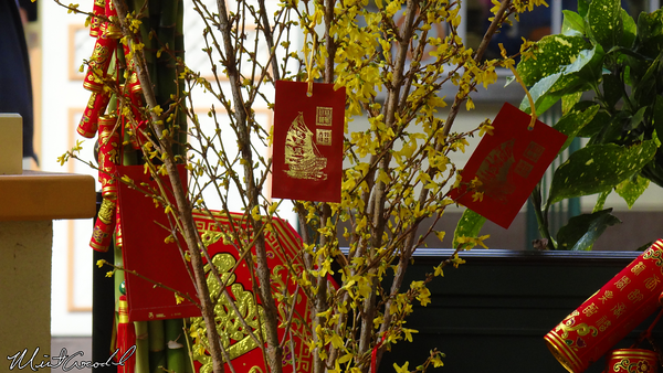 Disneyland Resort, Disney California Adventure, Paradise Pier, Lunar New Year, 2014, Horse