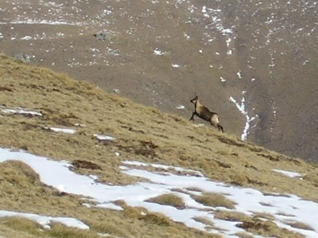  photo 12.jpg