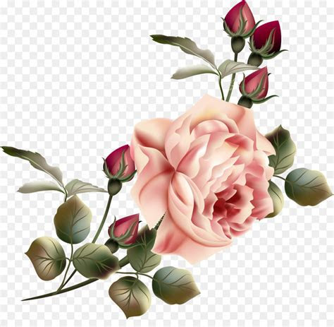 Download free purple instagram logo png png with transparent background. Flower Garden roses Clip art - vintage flowers 5057*4835