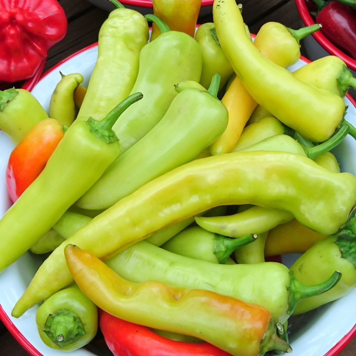 Chilli- Hungarian Yellow Wax seeds | TheSeedCollection