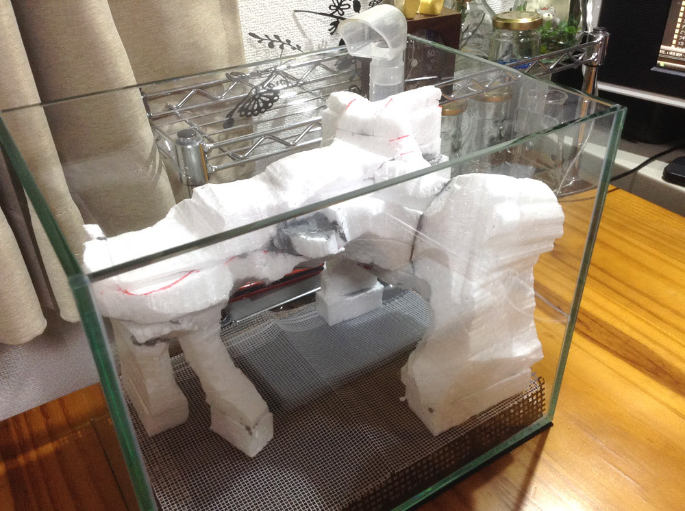 ２５ １７ ２１水槽でテラリウムを作ってみた記録 かんくろう王国