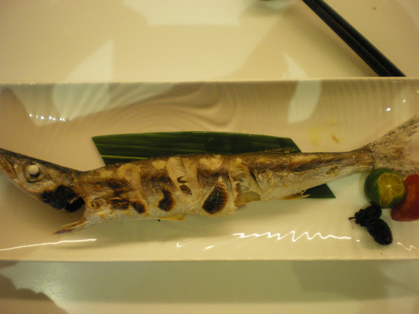IMGP5093.jpg