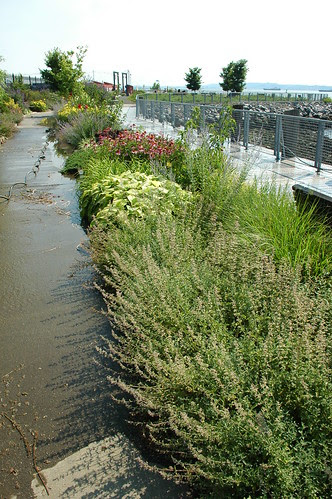 Pier 44 Waterfront Garden
