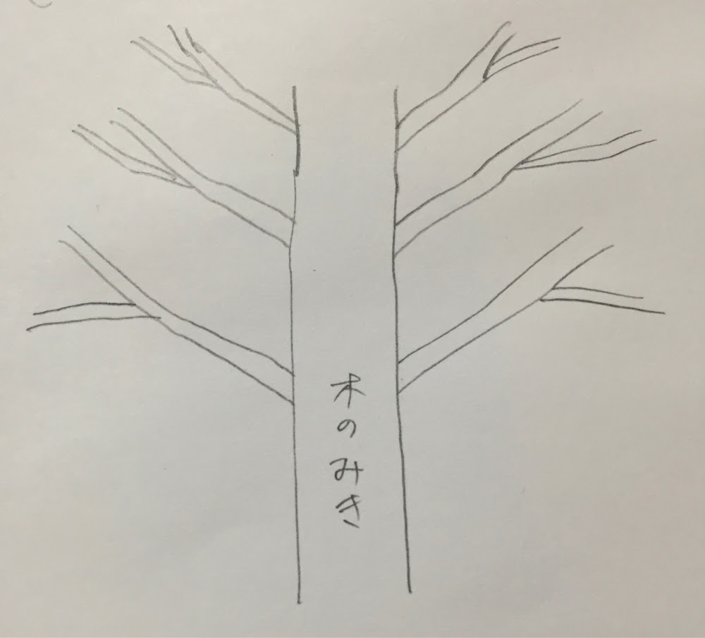 木イラストの描き方 絵の初心者ほど一気に上達する 木の書き方練習法 教えます イラスト講座 画力ゼロからはじめるイラスト漫画生活