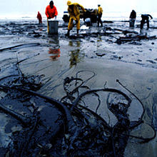 Oil pollution