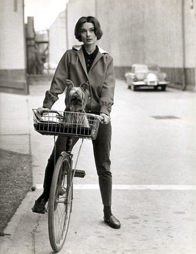 Of The Very Best Quotes About Bicycles And Cycling Bike Boom