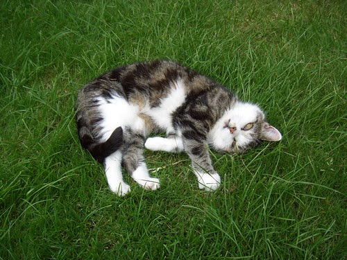 Freda June 2005