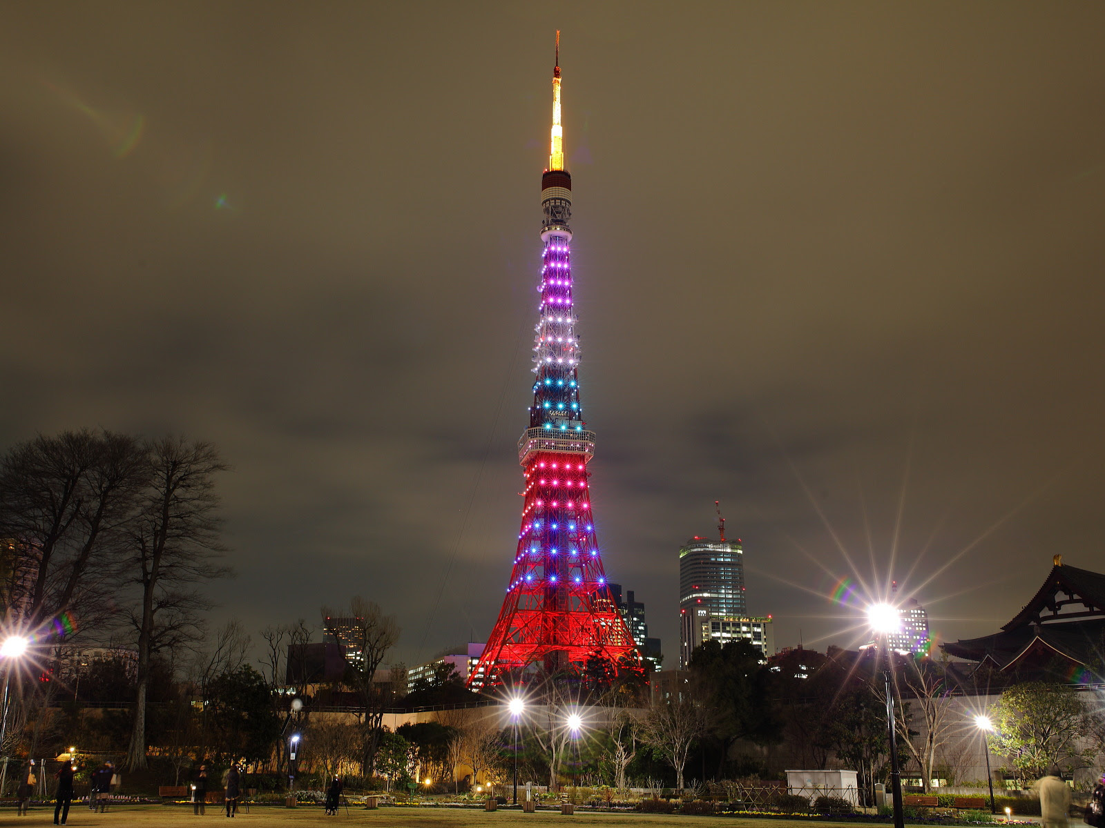東京タワー 華嵐 嵐カラー 東京タワー 青 赤 緑 黄 紫