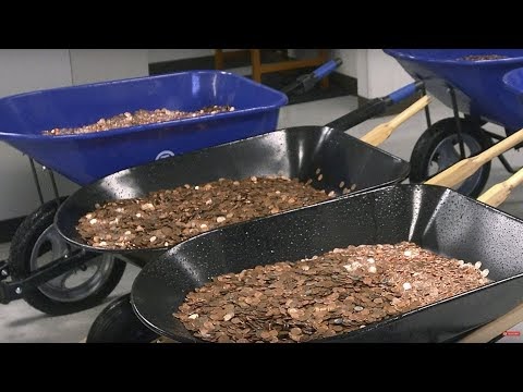 5 MORE things you think are illegal but aren't