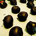 151/365: Chocolate-Covered Goodies