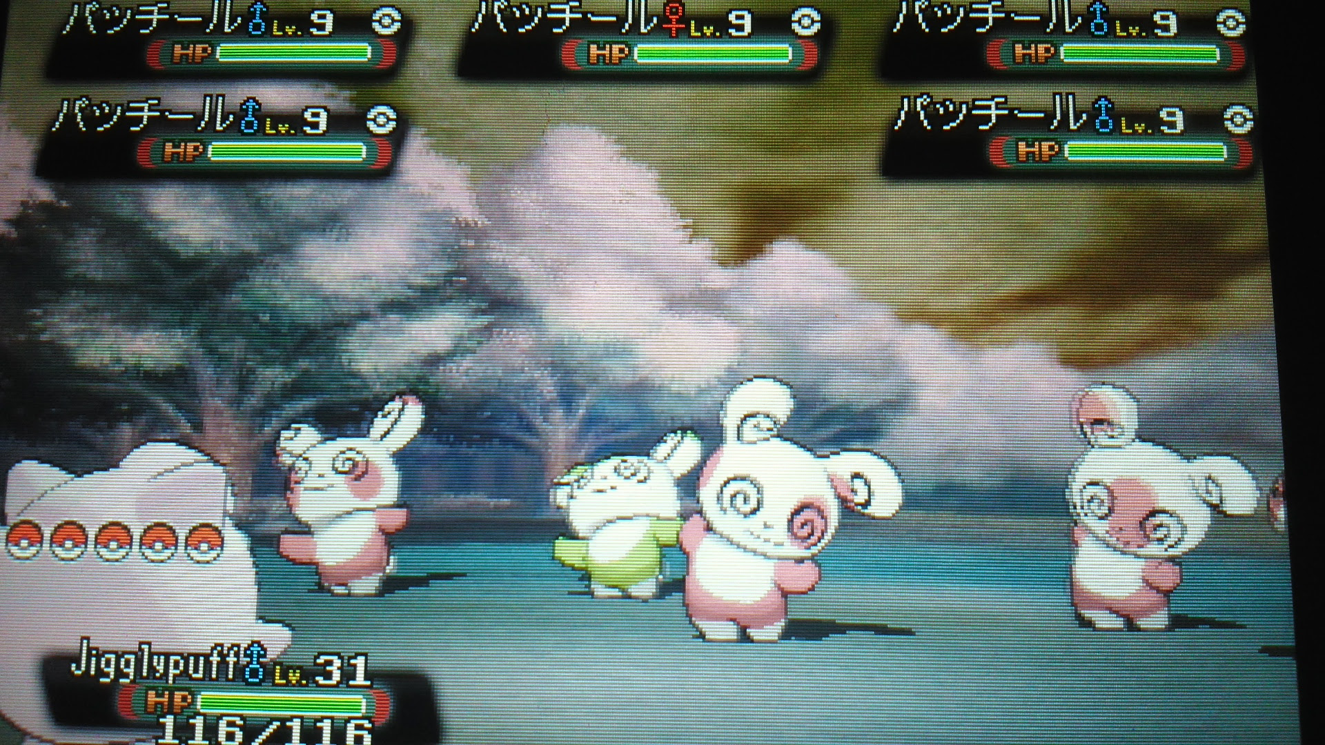 色ポケと粒日記 仮 パッチール Oras 色違い