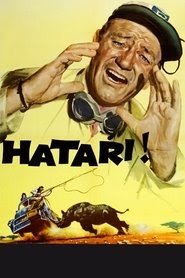 Hatari! 1962 中国香港人电影在线剧院首映流媒体