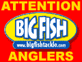 Win Free Tackle!