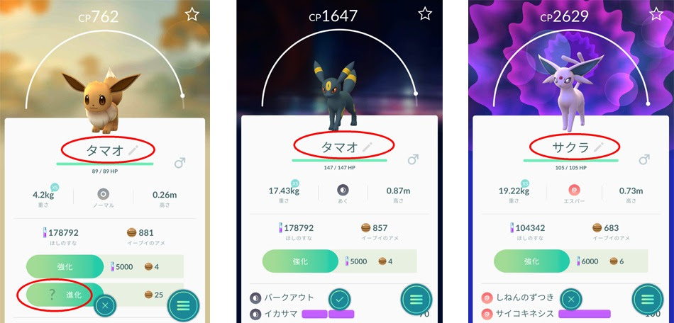 イーブイがエーフィに進化 中高年にオススメ ポケモンgoの遊び方 その14 ご指名進化は１回だけ ｑｂｃ 九州ビジネスチャンネル 遊ぶ