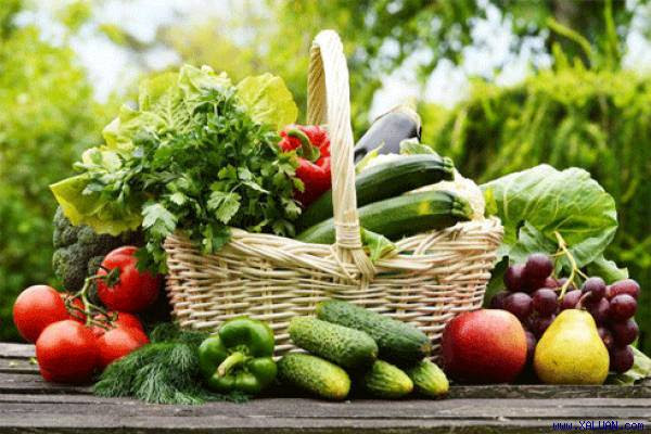 Chỉ cần trong mỗi bữa ăn hàng ngày cung cấp đầy đủ rau quả, thịt cá thì đã đầy đủ chất dinh dưỡng