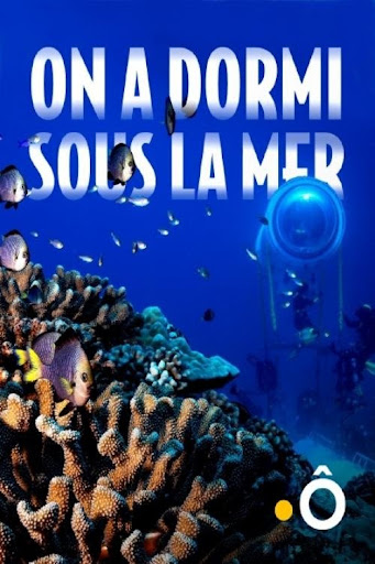 Kép