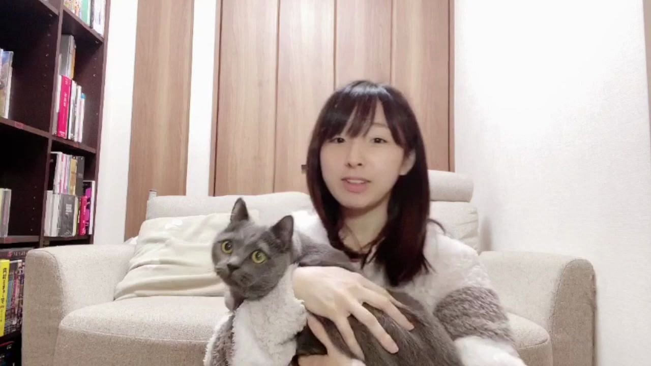 洲崎綾 五右卫门的一发艺 哔哩哔哩 つロ干杯 Bilibili