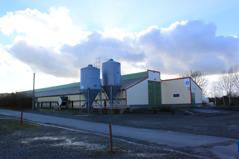 Construction de Poulailler à Rennes - Charpentier Agricole 