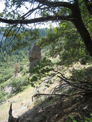 2007029