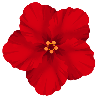 ハイビスカスe 赤 の無料素材 イラスト沖縄 おきなわ