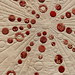 Pacific International Quilt Festival Favorites 2012