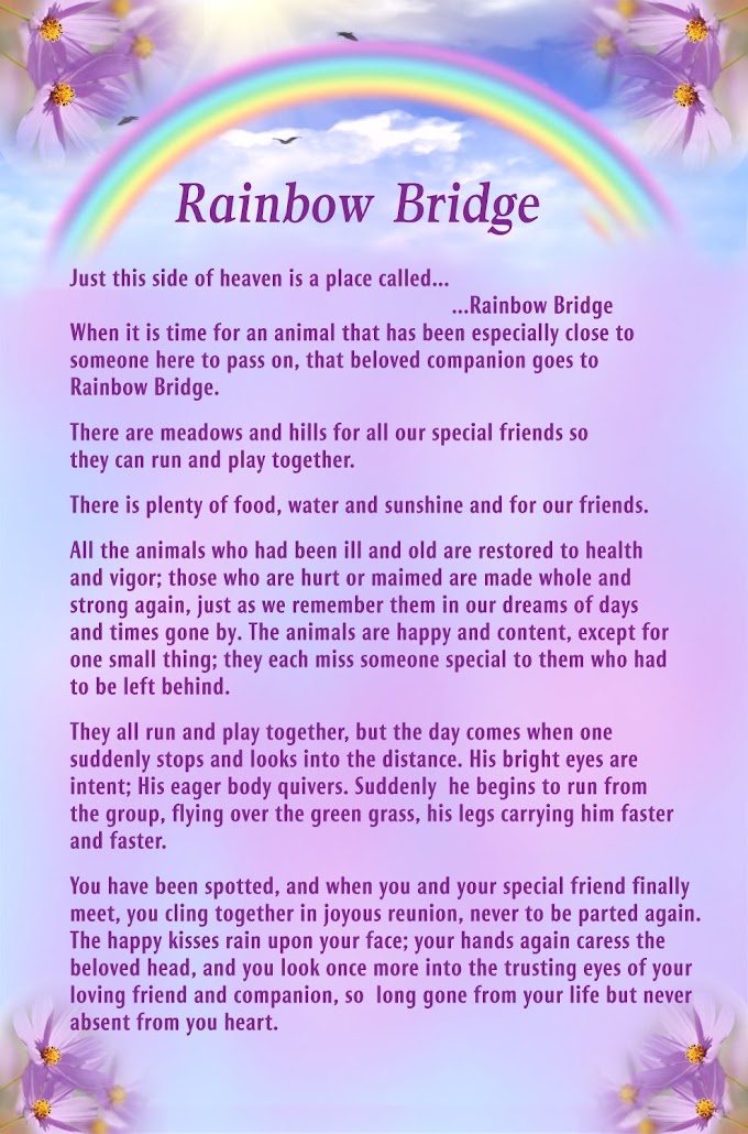 Poem Rainbow Bridge Printable