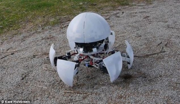 All set to scuttle: MorpHex is hexapod as well as a robot that travels along as a ball. When its legs come together the robot forms a sphere which can roll, but it can also scuttle delicately along, as pictured here