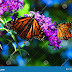 Spring Pictures To Color : Spring Color-By-Number Mystery Pictures Activities ... / We did not find results for: