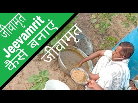 जीवामृत बनाने का सबसे आसान तरीका