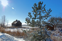 crib barn in winter