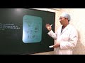 세포화 지방이식술 (Cellular fat graft)이란? 키스유성형외과